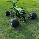 The Grinch MINI QUAD